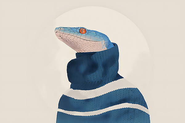 JPG 패션 일러스트 사람없음 파란색 원형 뱀 터틀넥 국내일러스트 푸른뱀 AI일러스트 AI콘텐츠 도형 컬러 파충류 스웨터 파일형식