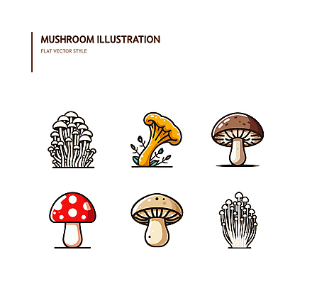 일러스트 사람없음 버섯 수확 식용버섯 팽이버섯 엘리먼트 국내일러스트 AI파일 농업 파일형식 벡터