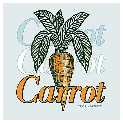 PSD 디자인 포스터 하늘색 일러스트 사람없음 농작물 주황색 당근 가을 빈티지 국내일러스트 계절 컬러 컨셉 농업 뿌리채소 파란색 파일형식