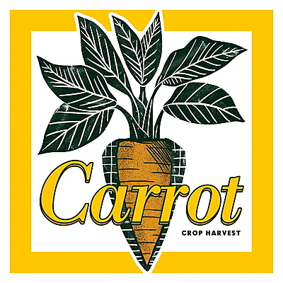PSD 디자인 포스터 일러스트 사람없음 농작물 노란색 당근 가을 빈티지 국내일러스트 계절 컬러 컨셉 농업 뿌리채소 파일형식