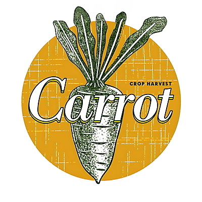 PSD 디자인 포스터 선 일러스트 사람없음 농작물 주황색 당근 가을 빈티지 원형 국내일러스트 도형 계절 컬러 컨셉 농업 뿌리채소 파일형식