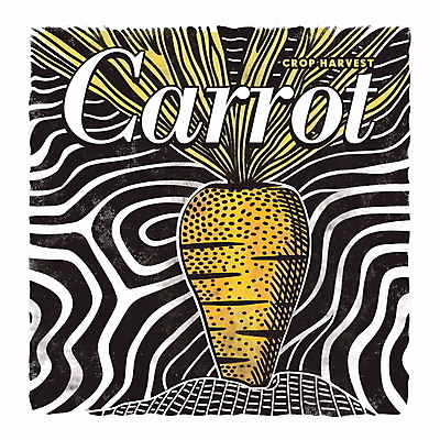 PSD 디자인 포스터 곡선 일러스트 사람없음 농작물 노란색 검은색 당근 가을 빈티지 점 국내일러스트 계절 선 컬러 컨셉 농업 뿌리채소 파일형식