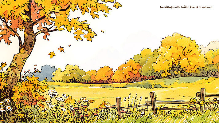 PSD 나무 공원 낙엽 일러스트 자연 수채화 풍경 사람없음 노란색 가을 국내일러스트 식물 계절 공공시설 컬러 잎 생태계 파일형식