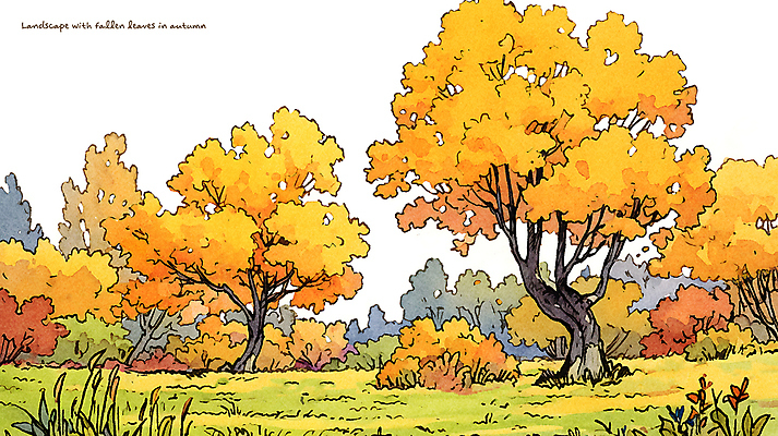 PSD 나무 공원 낙엽 일러스트 자연 수채화 풍경 사람없음 노란색 가을 국내일러스트 식물 계절 공공시설 컬러 잎 생태계 파일형식