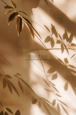 PSD 편집이미지 자연 그림자 사람없음 빛 풀잎 분위기 베이지색 카피스페이스 2025년 트렌드컬러 이미지편집 편집실사 모카무스 컬러 컨셉 잎 공백 풀_식물 연도 CG 생태계 파일형식