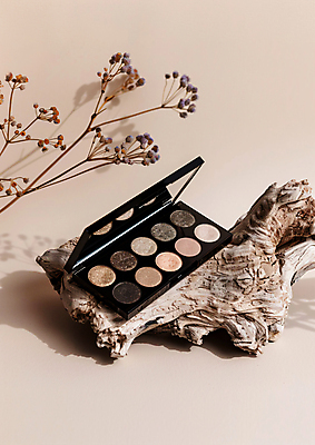 JPG 편집이미지 꽃 사람없음 목재 반짝임 뷰티 화장용품 화려 아이섀도 베이지색 편집실사 AI포토 AI콘텐츠 나무 식물 컬러 컨셉 재료 모션 화장품 미용용품 CG 파일형식