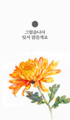 PSD 편집이미지 포스터 국화 사람없음 노란색 슬픔 동양화 한국화 그리움 장례 추모 이미지편집 꽃 감정 컬러 미술 파일형식