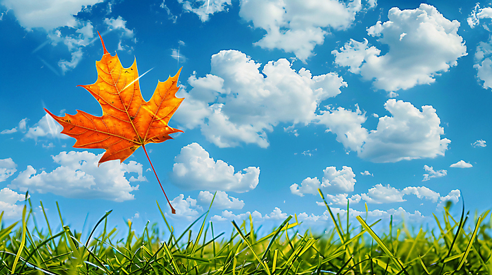 JPG 구름 편집이미지 단풍 낙엽 자연 하늘 잔디 사람없음 평화 맑음 가을 편집실사 AI컴퓨터그래픽 AI콘텐츠 자연요소 식물 계절 컨셉 잎 날씨 CG 생태계 파일형식
