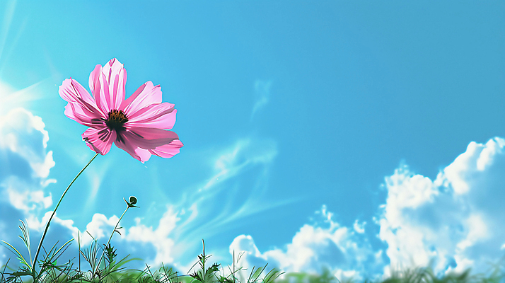 JPG 구름 편집이미지 자연 하늘 사람없음 평화 맑음 가을 풀 코스모스 편집실사 AI컴퓨터그래픽 AI콘텐츠 자연요소 식물 계절 꽃 컨셉 날씨 CG 생태계 파일형식