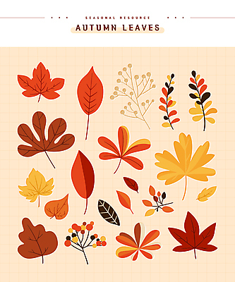 단풍 스티커 낙엽 일러스트 나뭇잎 사람없음 세트 주황색 가을 엘리먼트 편집소스 국내일러스트 AI파일 계절 컬러 잎 파일형식 벡터