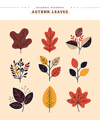 단풍 스티커 낙엽 일러스트 나뭇잎 사람없음 세트 주황색 가을 엘리먼트 편집소스 국내일러스트 AI파일 계절 컬러 잎 파일형식 벡터