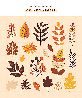 단풍 스티커 낙엽 일러스트 나뭇잎 사람없음 세트 주황색 가을 엘리먼트 편집소스 국내일러스트 AI파일 계절 컬러 잎 파일형식 벡터