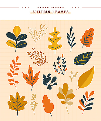단풍 스티커 낙엽 일러스트 나뭇잎 사람없음 세트 주황색 가을 엘리먼트 편집소스 국내일러스트 AI파일 계절 컬러 잎 파일형식 벡터