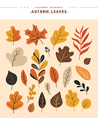 단풍 스티커 낙엽 일러스트 나뭇잎 사람없음 세트 주황색 가을 엘리먼트 편집소스 국내일러스트 AI파일 계절 컬러 잎 파일형식 벡터