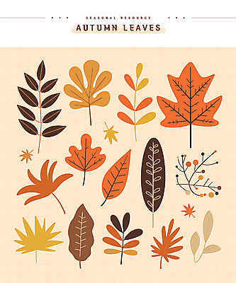 단풍 스티커 낙엽 일러스트 나뭇잎 사람없음 세트 주황색 가을 엘리먼트 편집소스 국내일러스트 AI파일 계절 컬러 잎 파일형식 벡터