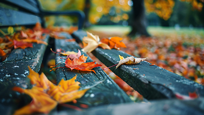 JPG 나무 편집이미지 단풍 낙엽 벤치 자연 사람없음 가을 편집실사 AI포토 AI콘텐츠 식물 계절 잎 의자 CG 생태계 파일형식