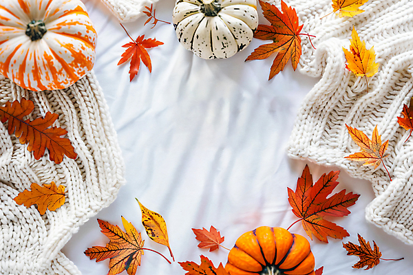 JPG 편집이미지 단풍 낙엽 호박 프레임 사람없음 주황색 가을 오브젝트 니트 뜨개옷 카피스페이스 편집실사 AI포토 AI콘텐츠 옷 계절 컬러 상의 잎 채소 공백 CG 파일형식