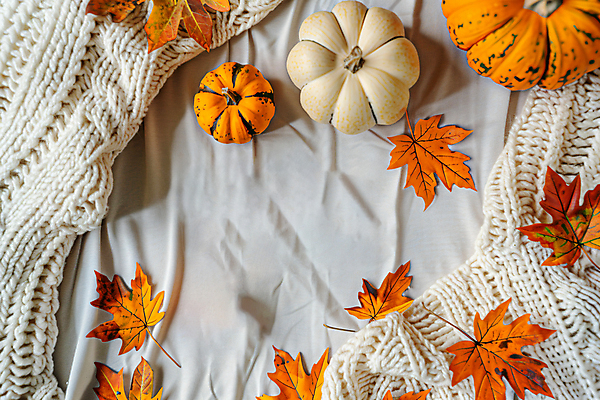 JPG 편집이미지 단풍 낙엽 호박 프레임 사람없음 주황색 가을 오브젝트 니트 뜨개옷 카피스페이스 편집실사 AI포토 AI콘텐츠 옷 계절 컬러 상의 잎 채소 공백 CG 파일형식