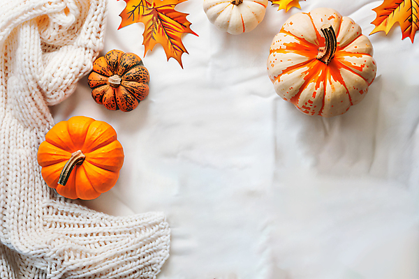 JPG 편집이미지 단풍 낙엽 호박 프레임 사람없음 주황색 가을 오브젝트 니트 뜨개옷 카피스페이스 편집실사 AI포토 AI콘텐츠 옷 계절 컬러 상의 잎 채소 공백 CG 파일형식