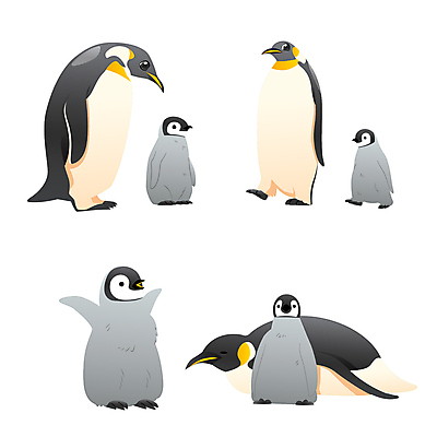 동물캐릭터 일러스트 동물원 사람없음 세트 귀여움 만화 펭귄 애니메이션 일러캐릭터 AI파일 동물 캐릭터 컨셉 조류 파일형식 벡터