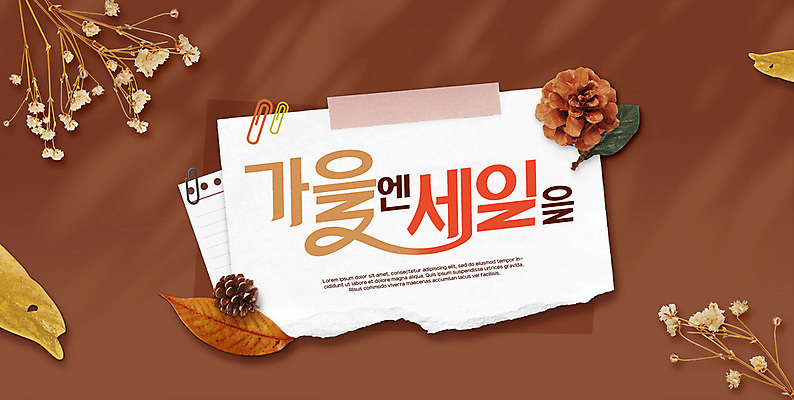 PSD 편집이미지 배너 낙엽 이벤트 타이포그라피 사람없음 쇼핑 갈색 세일 가을 클립 솔방울 안개꽃 드라이플라워 이미지편집 문자 계절 꽃 컬러 잎 한해살이풀 파일형식