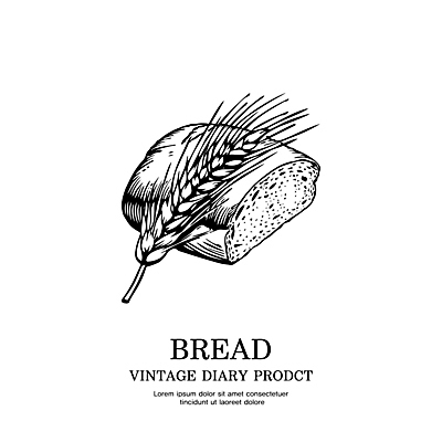 일러스트 사람없음 라벨 벼 빈티지 스케치 심볼 라인아트 식빵 판화 국내일러스트 AI파일 선 빵 컨셉 곡류 프레임 미술 파일형식 벡터