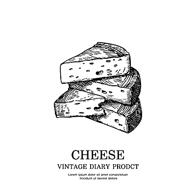 일러스트 치즈 사람없음 라벨 빈티지 스케치 심볼 라인아트 판화 국내일러스트 AI파일 선 컨셉 유제품 프레임 미술 파일형식 벡터