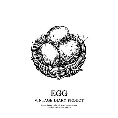 일러스트 사람없음 라벨 계란 빈티지 둥지 볏짚 스케치 심볼 라인아트 판화 국내일러스트 AI파일 선 컨셉 프레임 미술 알 짚 파일형식 벡터