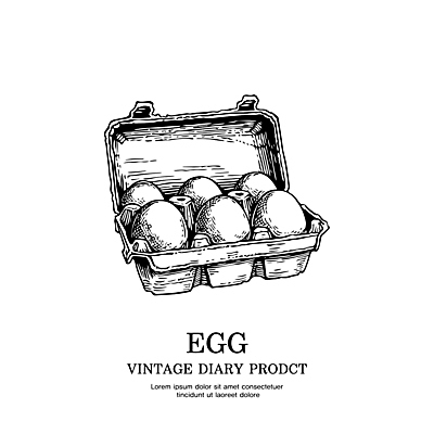 일러스트 사람없음 라벨 계란 빈티지 스케치 심볼 라인아트 판화 국내일러스트 AI파일 선 컨셉 프레임 미술 알 파일형식 벡터