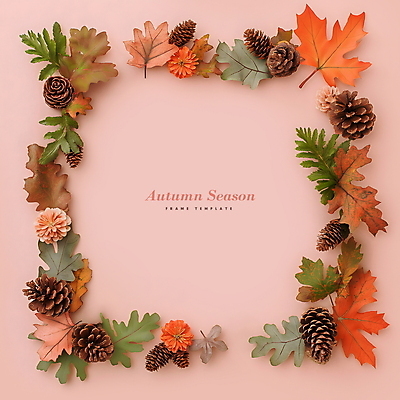PSD 편집이미지 단풍 낙엽 나뭇잎 프레임 사람없음 가을 디지털합성 솔방울 카피스페이스 편집소스 이미지편집 계절 잎 공백 파일형식