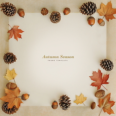PSD 편집이미지 단풍 낙엽 나뭇잎 프레임 사람없음 가을 디지털합성 도토리 솔방울 카피스페이스 편집소스 이미지편집 계절 잎 공백 견과류 파일형식