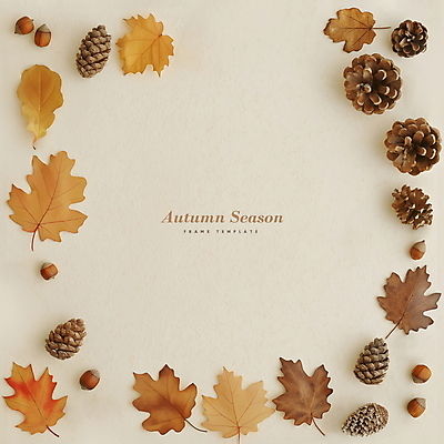 PSD 편집이미지 단풍 낙엽 나뭇잎 프레임 사람없음 가을 디지털합성 도토리 솔방울 카피스페이스 편집소스 이미지편집 계절 잎 공백 견과류 파일형식