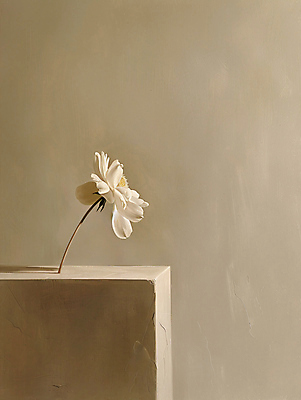 JPG 편집이미지 꽃 그림자 사람없음 인테리어 햇빛 가을 분위기 베이지색 편집실사 AI포토 AI콘텐츠 식물 디자인 계절 컬러 컨셉 태양 CG 파일형식