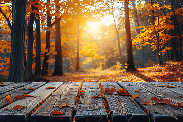 JPG 편집이미지 단풍 낙엽 벤치 단풍나무 사람없음 햇빛 노을 가을 숲 편집실사 AI포토 AI콘텐츠 자연요소 나무 계절 잎 의자 태양 CG 파일형식