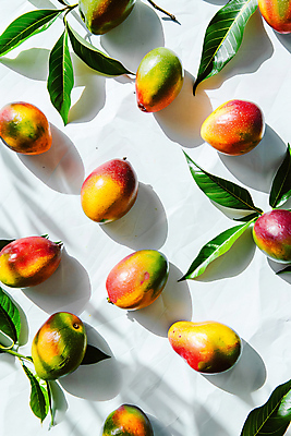 JPG 편집이미지 잎 그림자 사람없음 햇빛 망고 애플망고 편집실사 AI포토 AI콘텐츠 식물 태양 CG 열대과일 파일형식