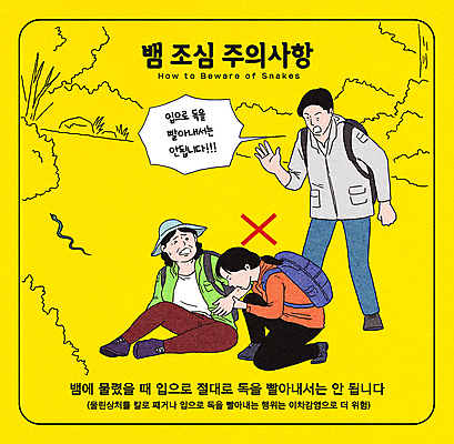 PSD 여자 남자 중년 말풍선 일러스트 산 경고 안전 성인 세명 노란색 등산 환자 독약 뱀 위험 등산객 등산복 풀숲 조심 독사 등산스틱 응급치료 주의사항 행동요령 물림 국내일러스트 독뱀 옷 컬러 컨셉 의학 파충류 모션 주의 사람 치료 트래킹 숲 등산용품 파일형식