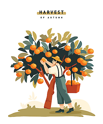 전신 라이프스타일 남자 일러스트 나뭇잎 감 한명 잔디 성인 생활 바구니 수확 추수 가을 농부 감나무 밀짚모자 성인남자한명만 국내일러스트 AI파일 나무 식물 직업 모자_잡화 1 계절 잎 농업 과일 사람 남자한명만 성인남자만 파일형식 벡터