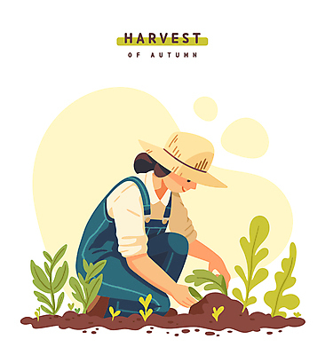 전신 라이프스타일 여자 잎 일러스트 한명 성인 생활 농작물 노란색 흙 수확 추수 가을 농부 밀짚모자 웅크림 성인여자한명만 국내일러스트 AI파일 식물 직업 모자_잡화 1 계절 컬러 농업 모션 사람 여자한명만 성인여자만 파일형식 벡터