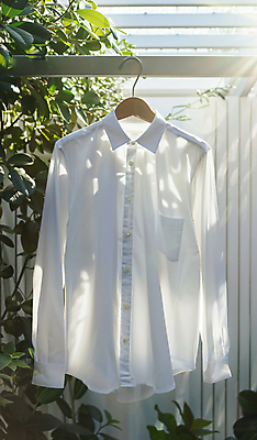 JPG 편집이미지 가사 나뭇잎 건조 그림자 사람없음 햇빛 청결 빨래 옷걸이 편집실사 AI포토 AI콘텐츠 잎 태양 위생 CG 파일형식