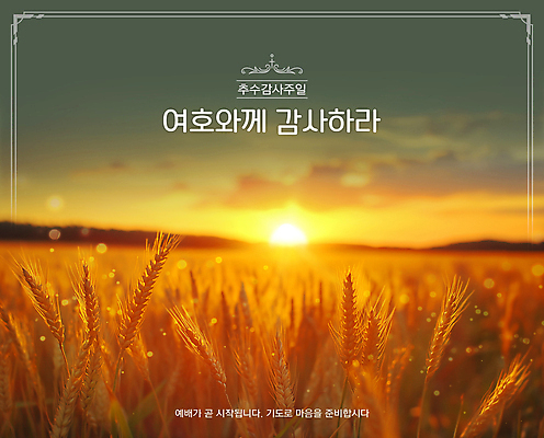 PSD 템플릿 따뜻함 초원 사람없음 햇빛 노을 수확 가을 감사 예배 보리 추수감사절 풍요 이미지템플릿 자연요소 계절 감정 기독교 컨셉 농업 곡류 태양 파일형식