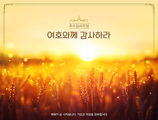 PSD 템플릿 따뜻함 초원 사람없음 햇빛 노을 수확 가을 감사 예배 보리 추수감사절 풍요 이미지템플릿 자연요소 계절 감정 기독교 컨셉 농업 곡류 태양 파일형식