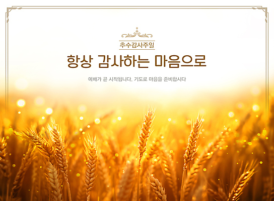 PSD 템플릿 따뜻함 초원 사람없음 햇빛 수확 가을 감사 예배 보리 추수감사절 풍요 이미지템플릿 계절 감정 기독교 컨셉 농업 곡류 태양 파일형식