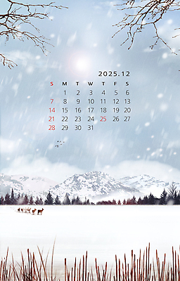 PSD 겨울 일러스트 자연 사슴 갈대 풍경 사람없음 태양 설원 추위 달력 눈 12월 폭설 2025년 설산 을사년 국내일러스트 자연요소 식물 계절 포유류 날씨 산 눈_날씨 날짜 자연재해 연도 생태계 파일형식