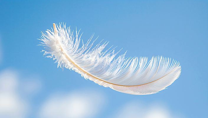 JPG 구름 편집이미지 하늘 날리기 사람없음 파란색 자유 깃털 가벼움 편집실사 AI컴퓨터그래픽 AI콘텐츠 자연요소 컬러 컨셉 모션 무게 CG 파일형식