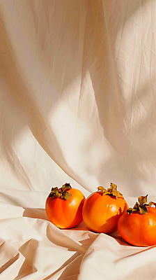 JPG 편집이미지 그림자 사람없음 주황색 가을 달콤 천 단감 제철 제철과일 편집실사 AI포토 AI콘텐츠 계절 컬러 과일 감 직물 맛 CG 파일형식