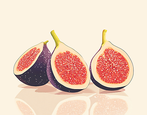 PSD 과일 일러스트 단면 사람없음 빈티지 슬라이스 감성 무화과 무화과열매 국내일러스트 열매 컨셉 파일형식