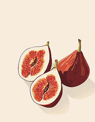 PSD 과일 일러스트 단면 사람없음 빨간색 빈티지 슬라이스 감성 무화과 무화과열매 국내일러스트 열매 컬러 컨셉 파일형식