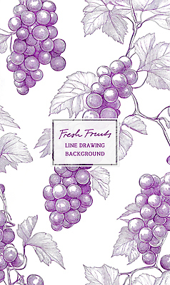 PSD 패턴 일러스트 포도 사람없음 보라색 빈티지 드로잉 포도잎 국내일러스트 컬러 컨셉 잎 무늬 과일 미술 파일형식