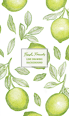 PSD 잎 패턴 일러스트 사람없음 초록색 빈티지 라임 드로잉 국내일러스트 식물 컬러 컨셉 무늬 과일 미술 파일형식