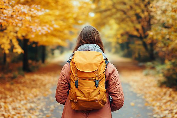 JPG 편집이미지 여자 길 여유 여행 단풍 가방 단풍나무 휴식 한명 상반신 성인 야외 뒷모습 가을 디지털합성 가을여행 성인여자한명만 편집실사 AI인물포토 AI콘텐츠 나무 1 잡화 계절 감정 뷰포인트 컨셉 잎 사람 CG 여자한명만 성인여자만 파일형식 가을_계절 AI포토